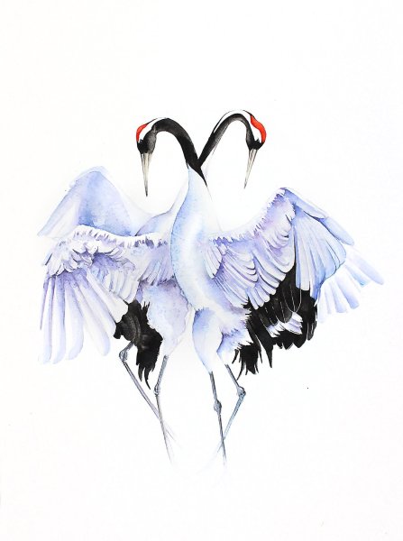 Два журавля