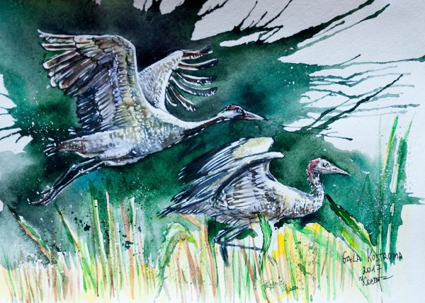 Художник Александра Мережникова журавль
