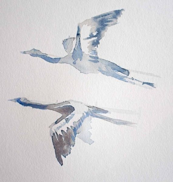 Птицы в небе акварель