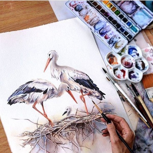 Аист акварель