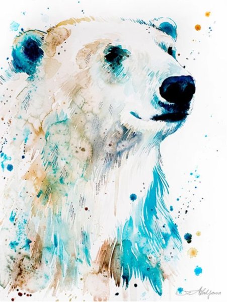 Медведь акварелью