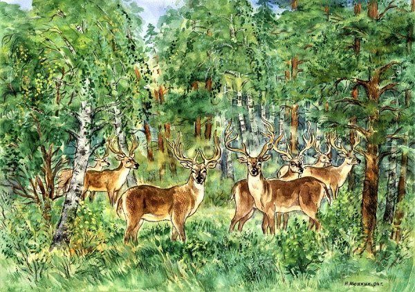 Олень в лесу акварель