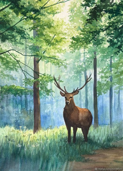 Олень в лесу акварель