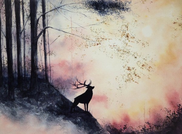 Олень в тумане в лесу