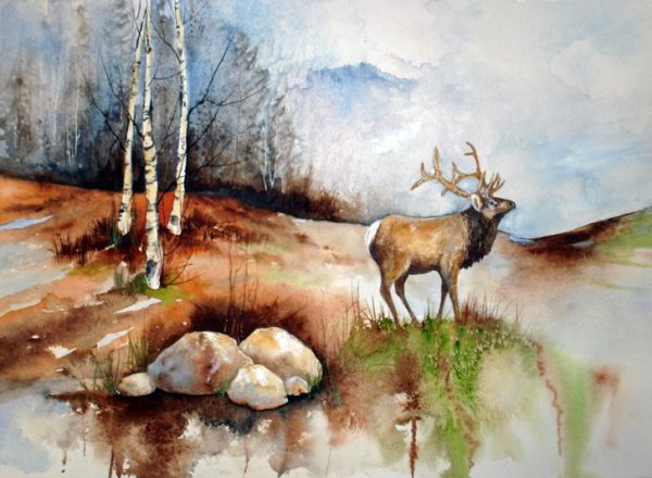 Животные в лесу акварель