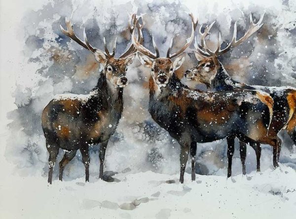 Северный олень акварель