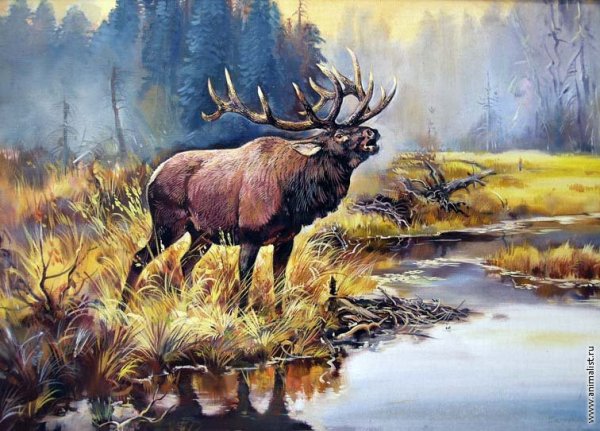 Виктор Бастрыкин художник-анималист