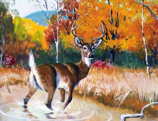 Олень в лесу акрилом