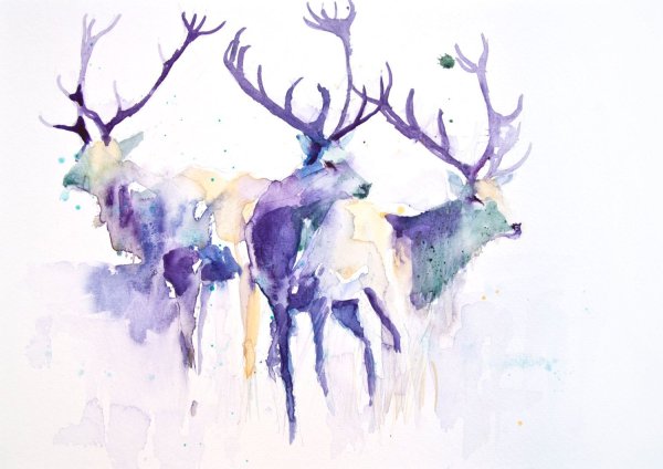 Животные в лесу акварель