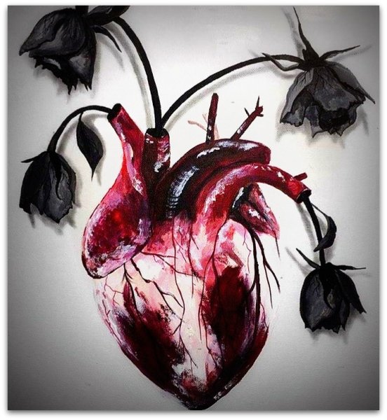 Человеческое сердце Эстетика
