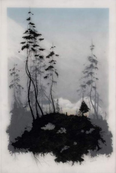 Brooks Shane Salzwedel художник