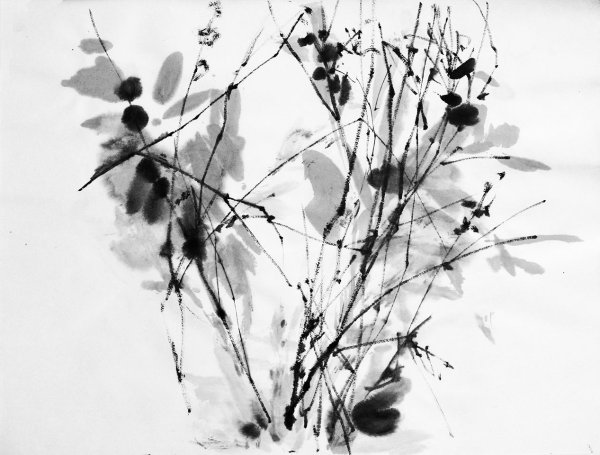 Рисование акварелью и тушью