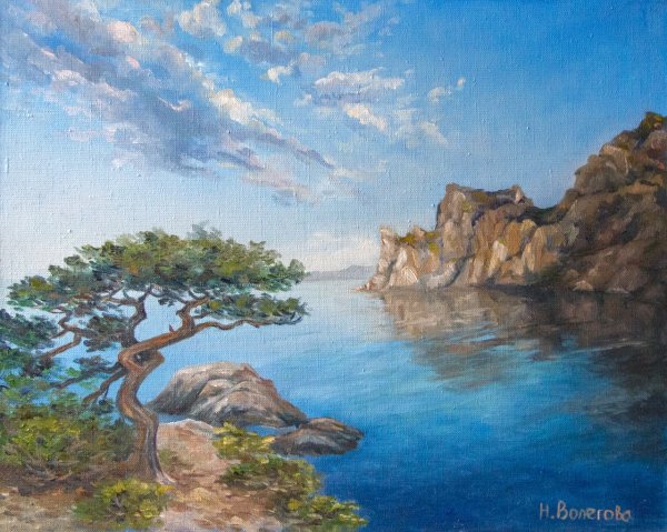 Можжевельник обыкновенный рис