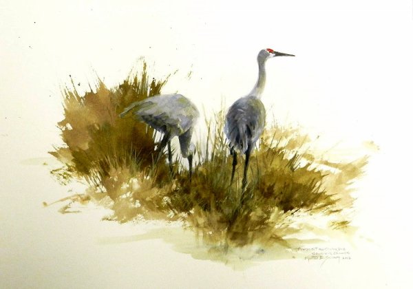 Цапля акварель рисунок