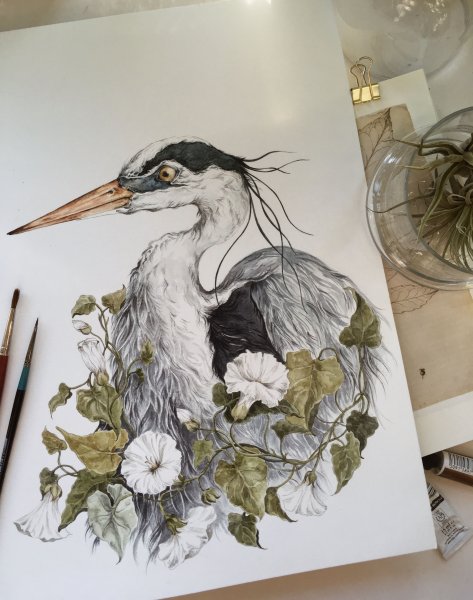 Цапля акварель