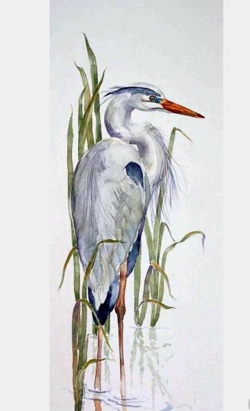 Голубая цапля китайская живопись