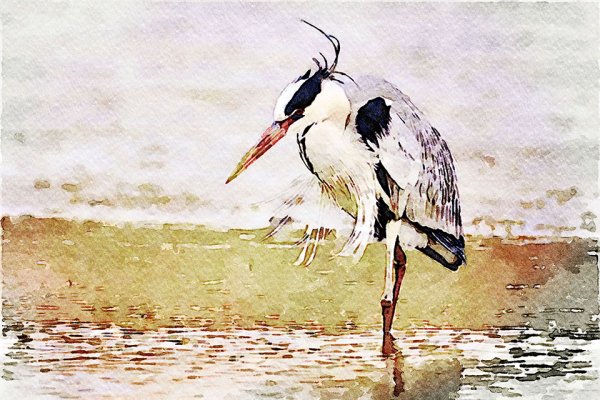 Цапля живопись