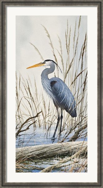 Акварель улетают птицы