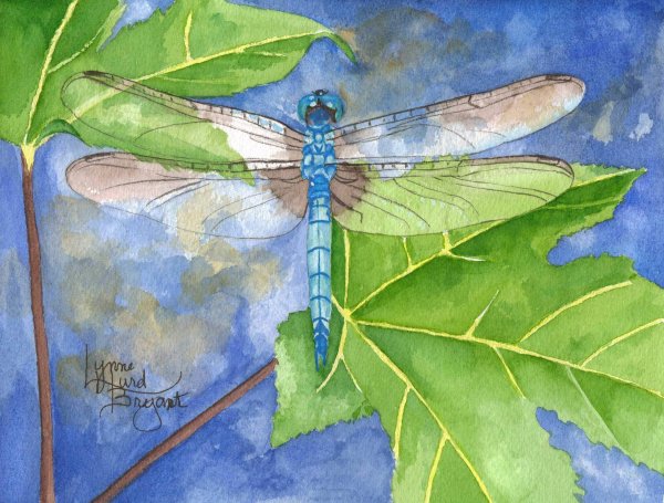 Стрекоза живопись акварелью для детей