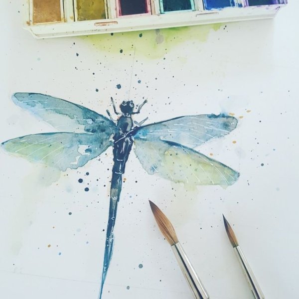 Акварельные Стрекозы