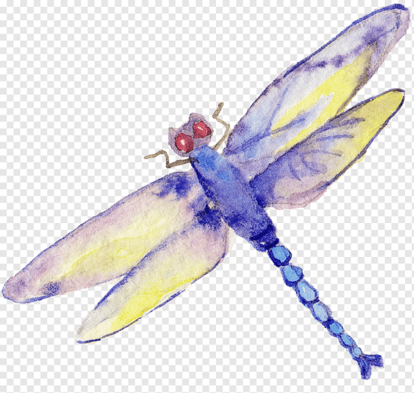 Акварельные Стрекозы