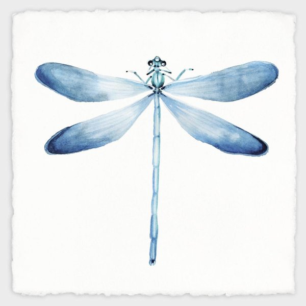 Акварельные Стрекозы