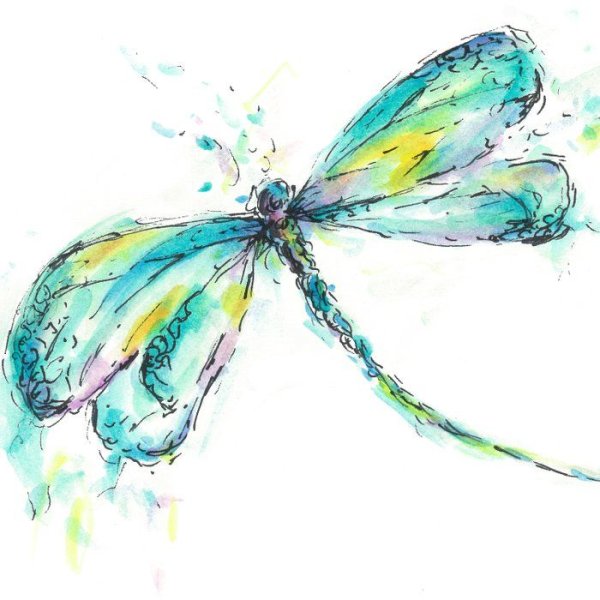 Акварельные Стрекозы