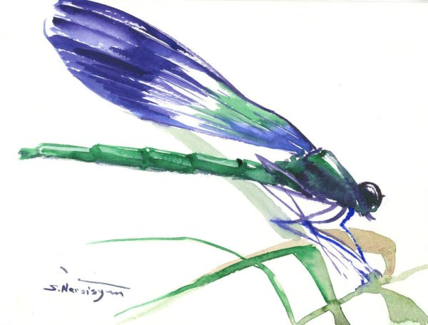 Стрекоза акварель