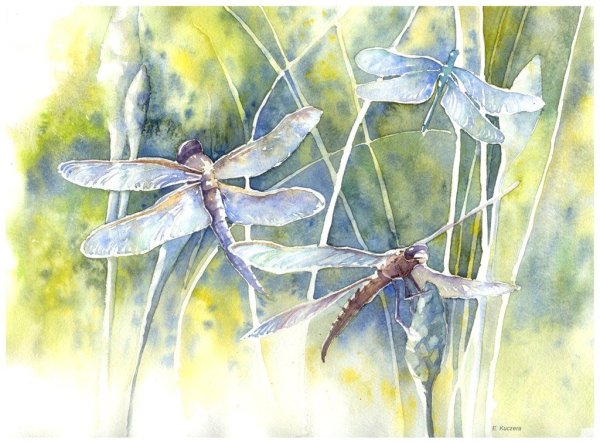 Акварельные Стрекозы