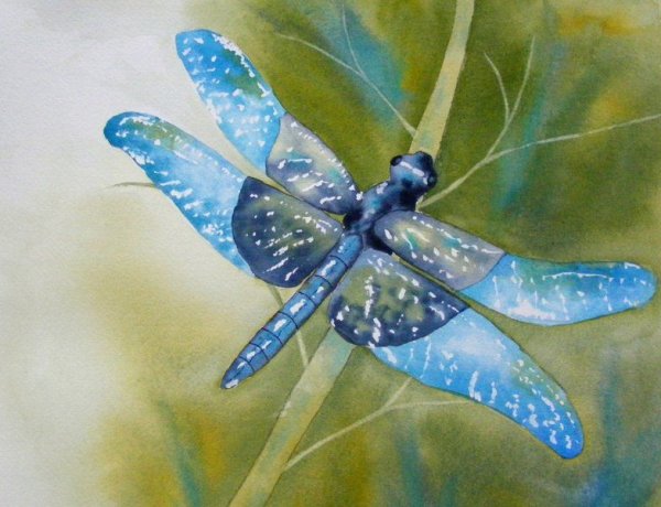 Стрекоза гуашью