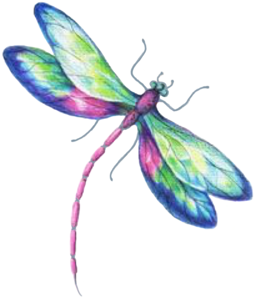 Стрекоза акварель