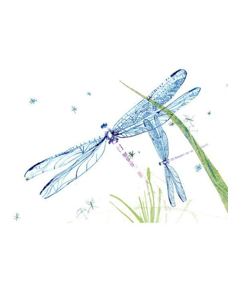 Голубая Стрекоза пришвин иллюстрации
