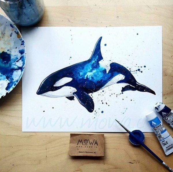 Касатка акварель