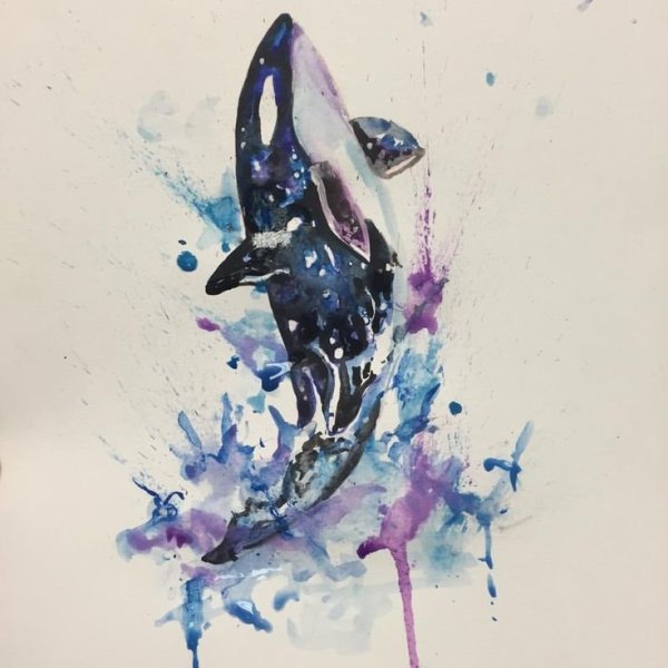 Касатка арт акварель