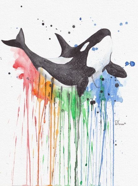 Касатка акварель