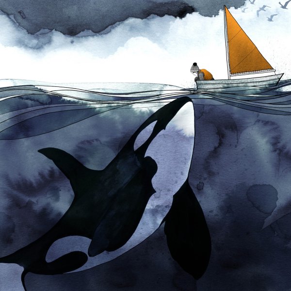 Касатка рисунок