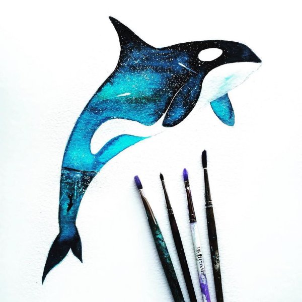 Касатка акварель