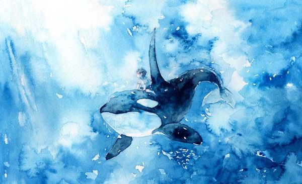 Касатка рисунок акварелью
