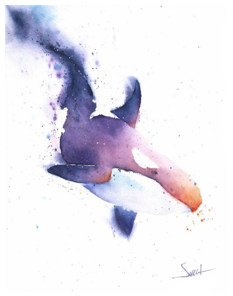 Касатка акварель