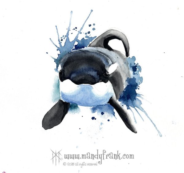 Тату Касатка акварель