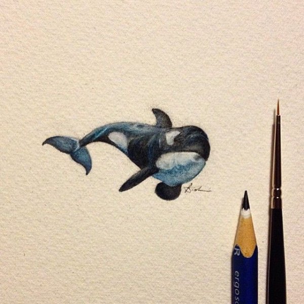 Тату Касатка акварель