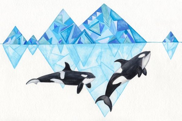 Касатка геометрия