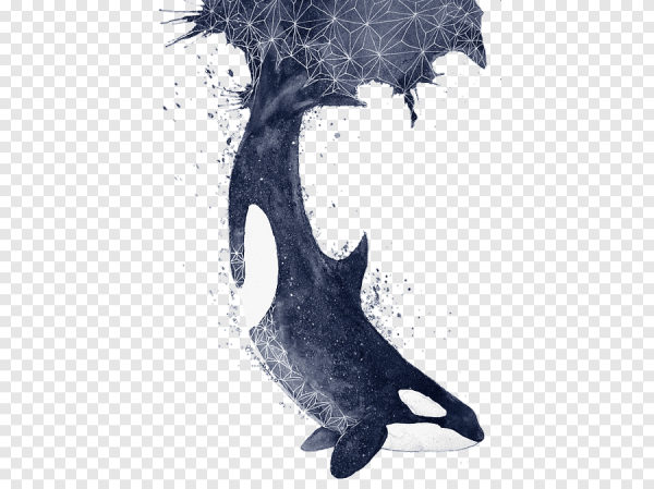 Синий кит Касатка рисунок акварель