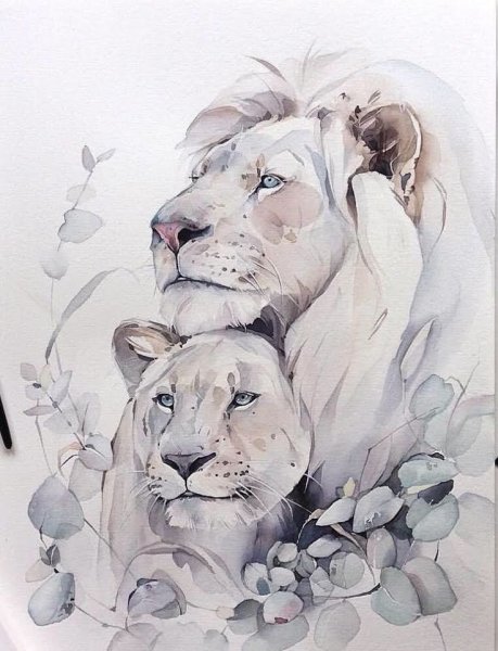 Лев и львица акварель