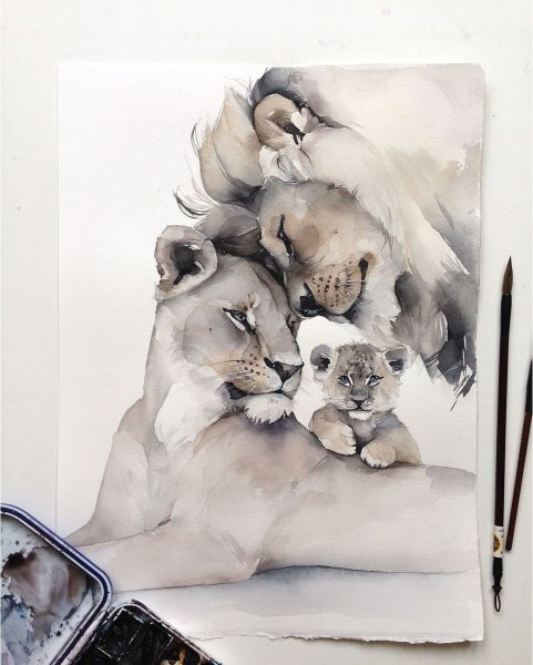 Лев и львица акварель