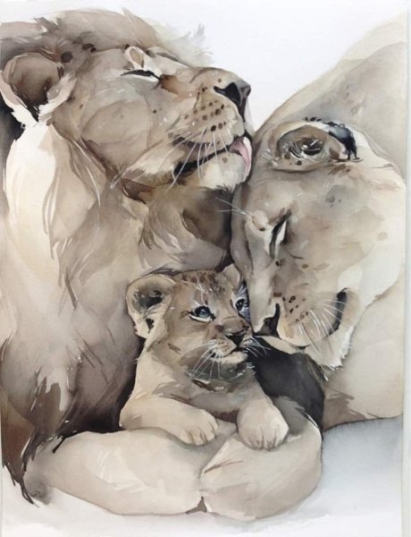 Художница Natalia Kadantseva