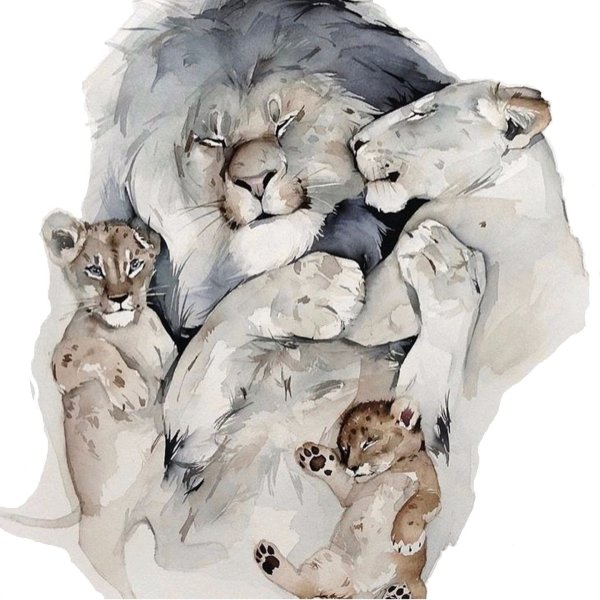 Наталья Каданцева акварель львы