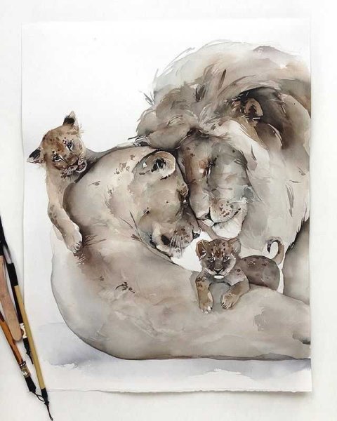 Лев и львица акварель