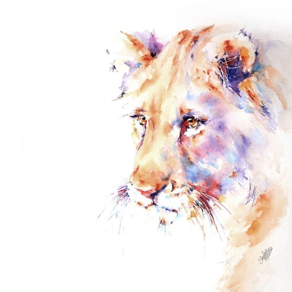 Наталья Каданцева акварель животные