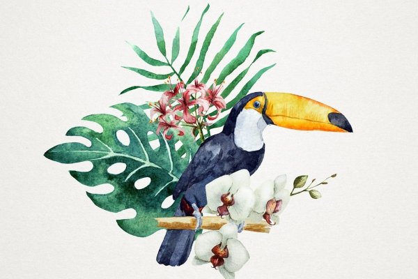 Тропические птицы арт